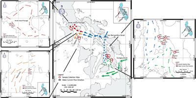 Avicennia Genetic Diversity and Fine-Scaled Structure Influenced by Coastal Proximity of Mangrove Fragments